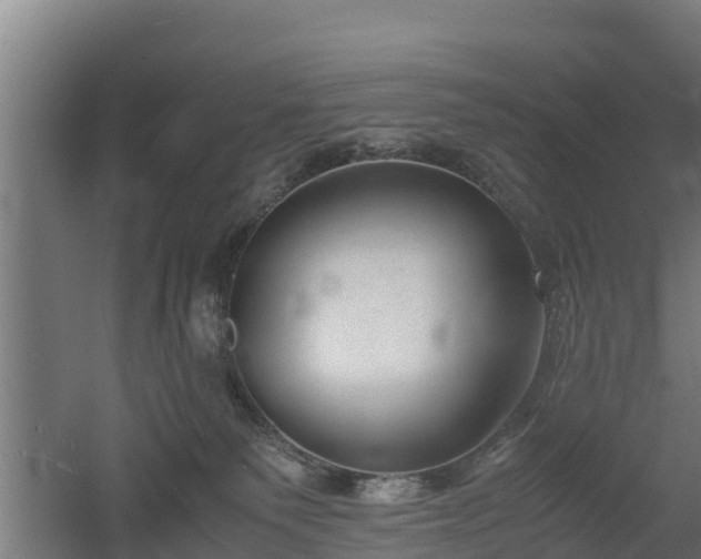 X0000060570135200511071029