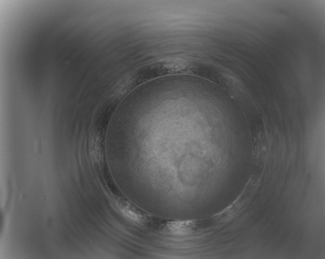 X0000060570136200511071029