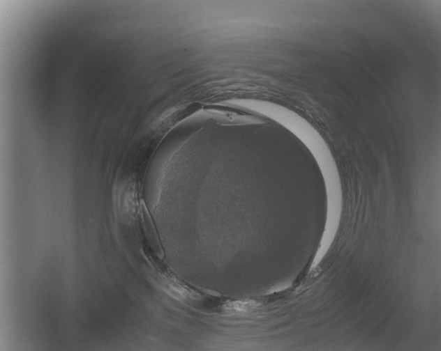 X0000060570137200511071029