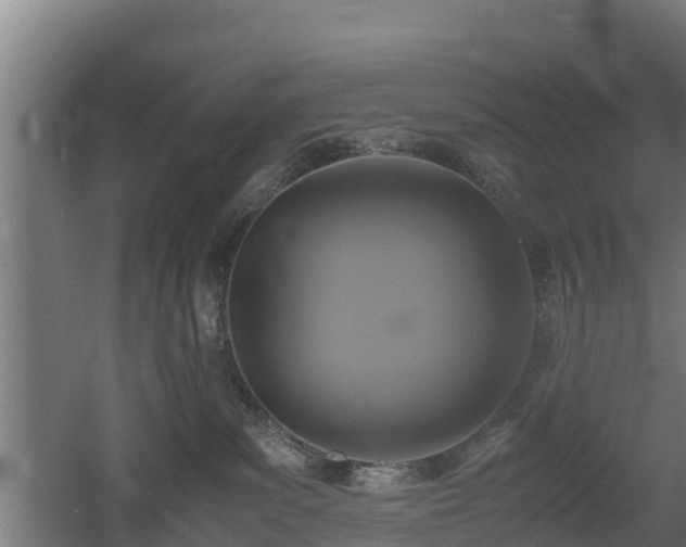 X0000060570139200511071029