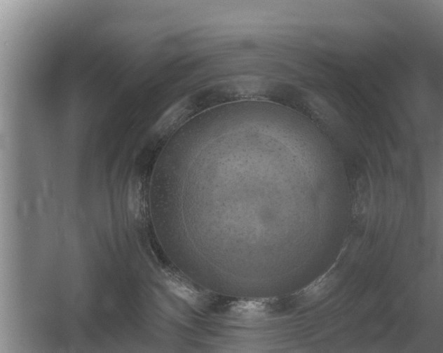 X0000060570140200511071029