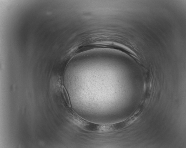 X0000060570141200511071029