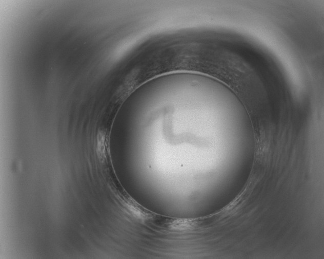 X0000060570142200511071029