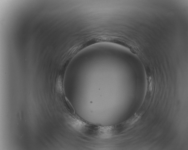 X0000060570143200511071029