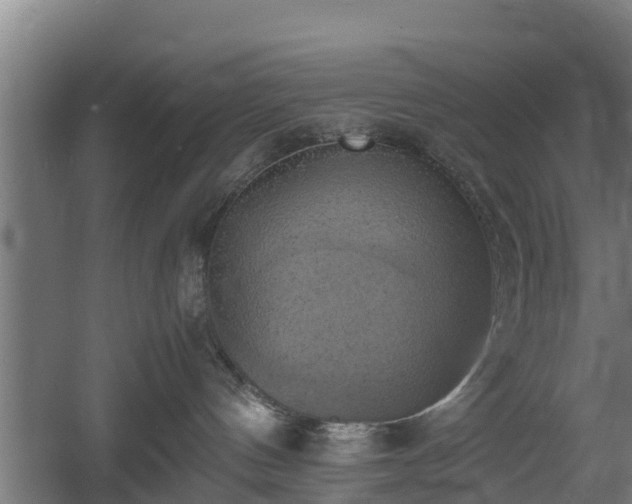 X0000060570144200511071029