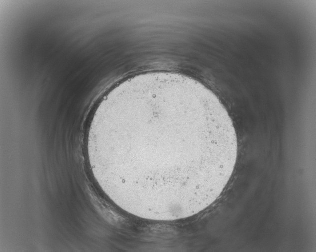 X0000060570146200511071028