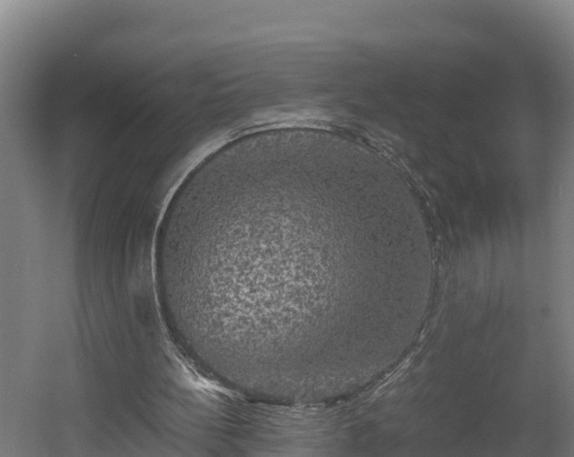 X0000060570148200511071028