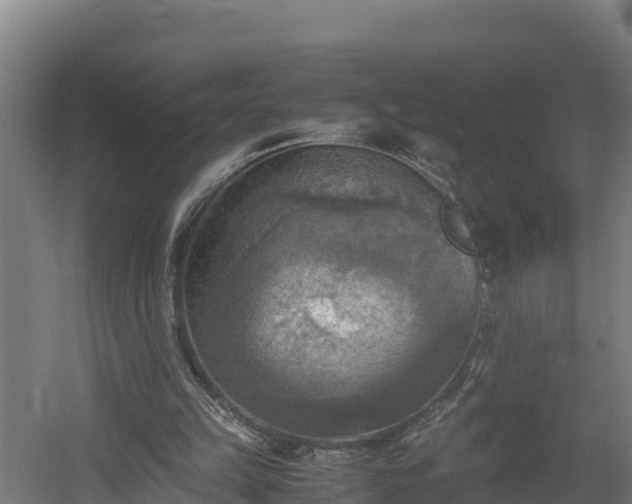 X0000060570149200511071028