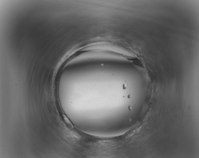 X0000060570150200511071028