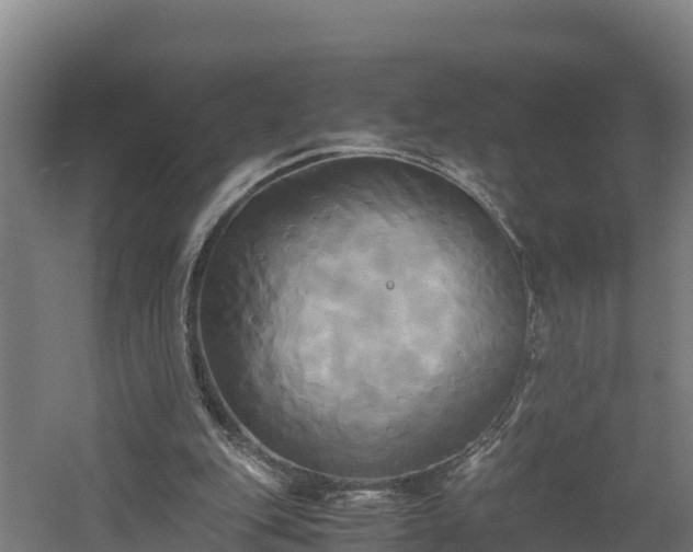 X0000060570151200511071028