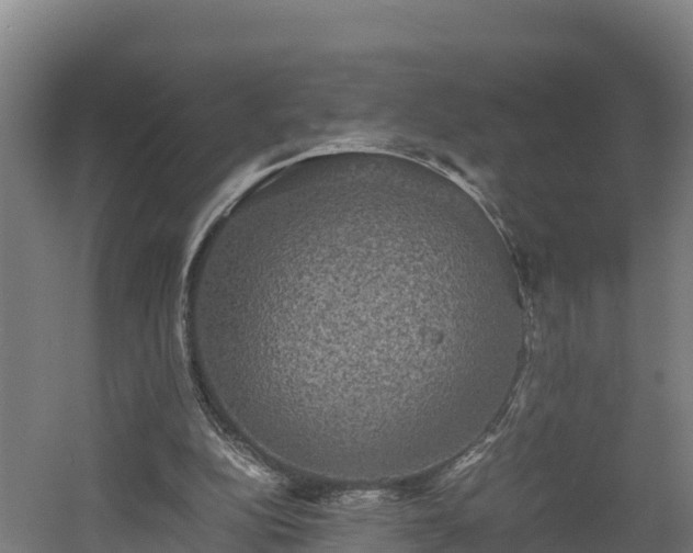 X0000060570152200511071028