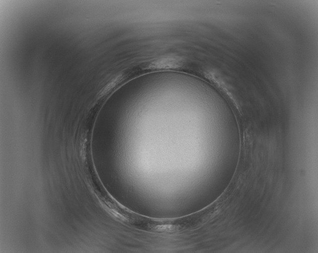 X0000060570153200511071028