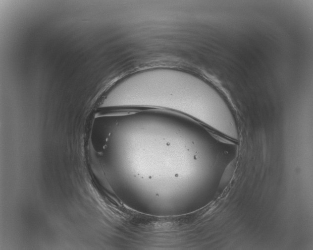 X0000060570154200511071028