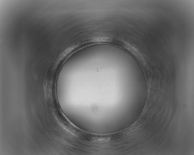 X0000060570155200511071028