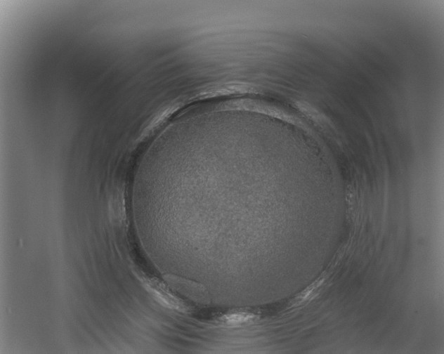 X0000060570158200511071028