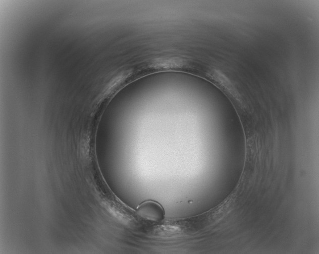 X0000060570159200511071028