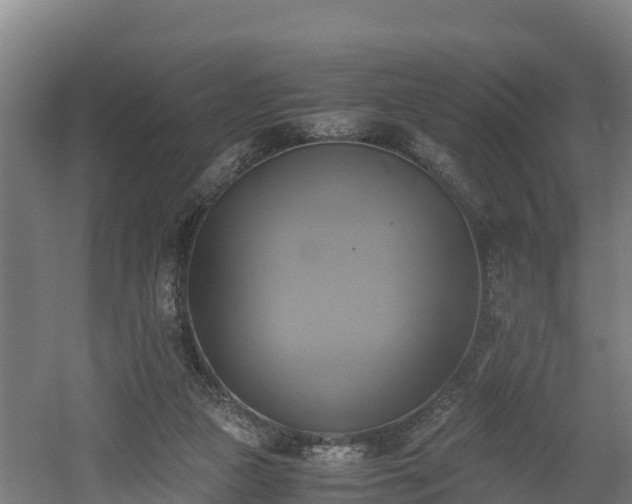 X0000060570161200511071028