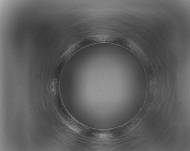 X0000060570165200511071028