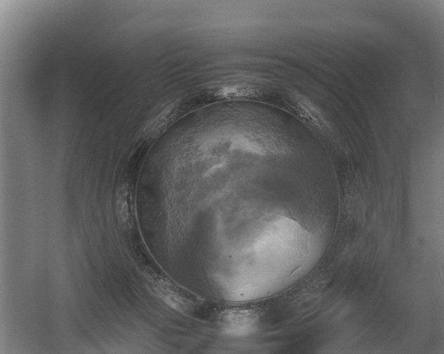 X0000060570169200511071028