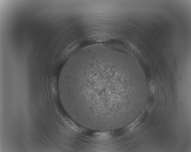 X0000060570170200511071028