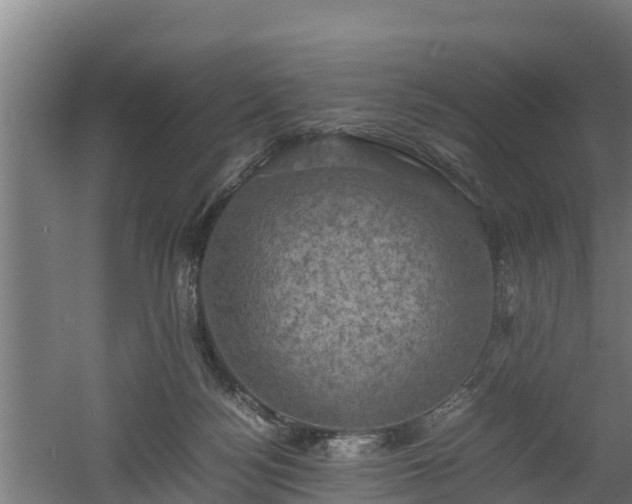 X0000060570172200511071028