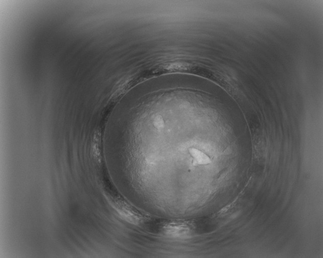 X0000060570175200511071028