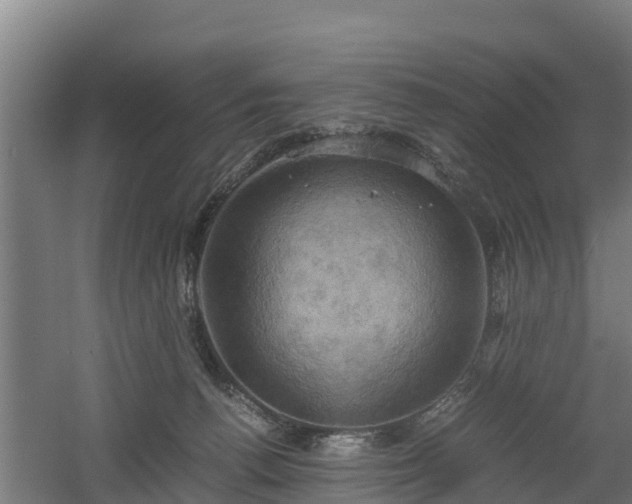 X0000060570176200511071028