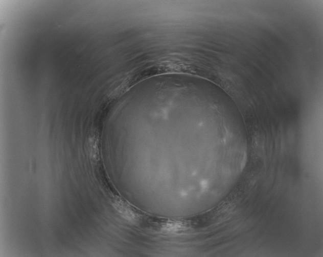 X0000060570177200511071029