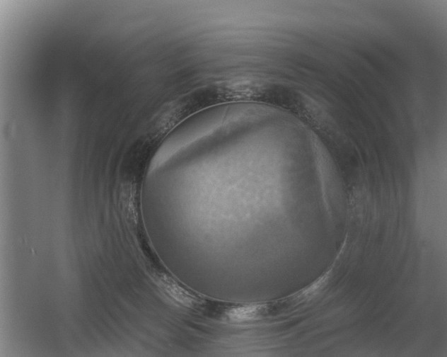 X0000060570178200511071029