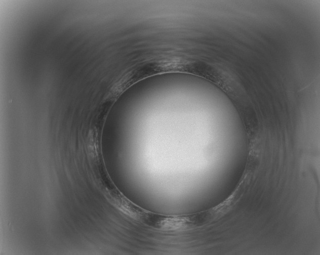 X0000060570179200511071029