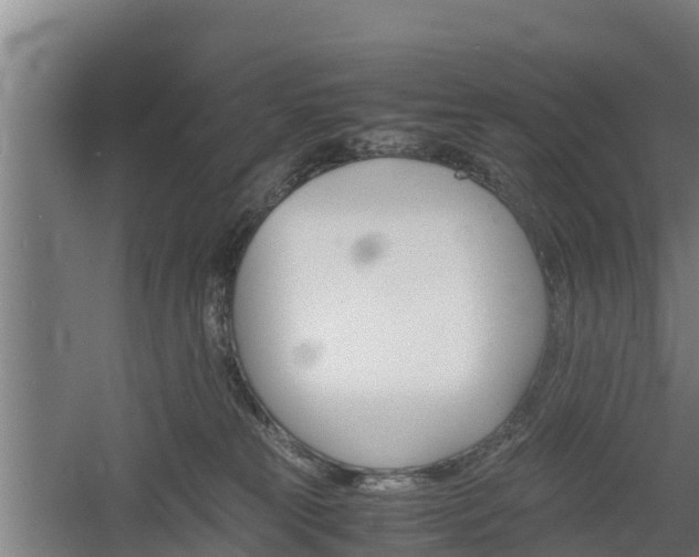 X0000060570181200511071029