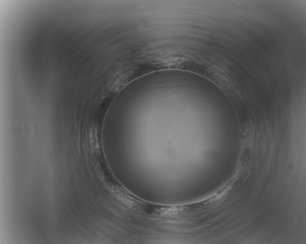 X0000060570182200511071029