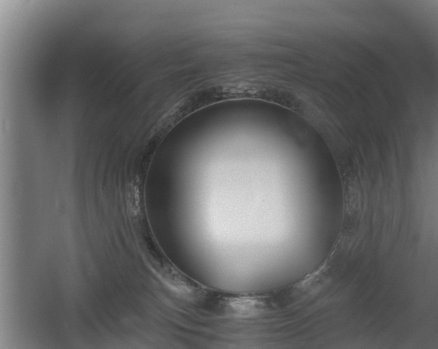 X0000060570183200511071029