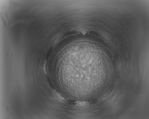 X0000060570185200511071029