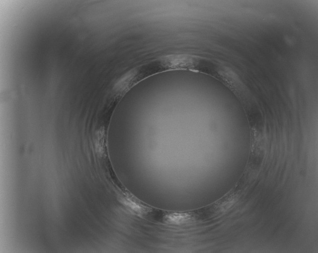 X0000060570189200511071029