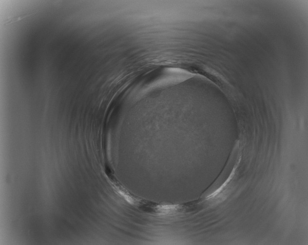 X0000060570192200511071029