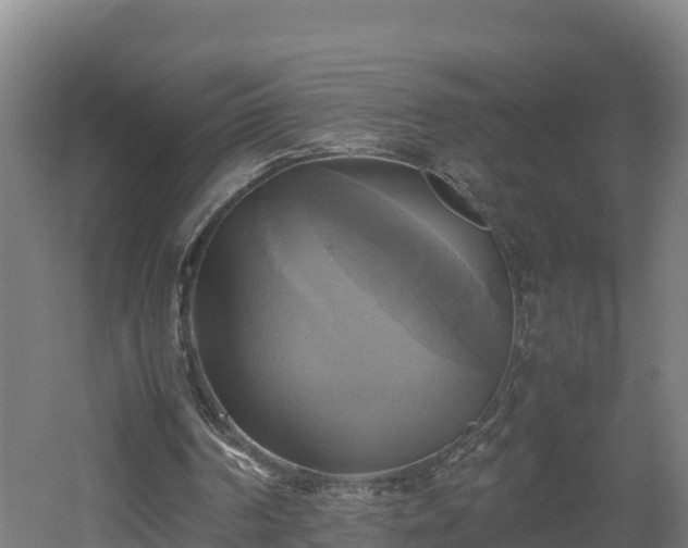 X0000060570194200511071028