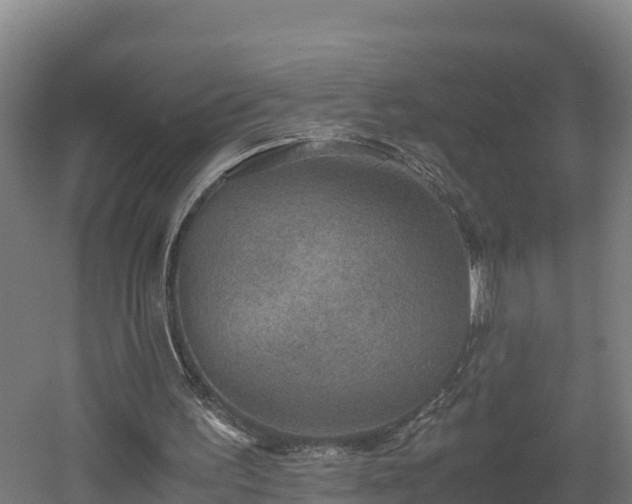 X0000060570195200511071028