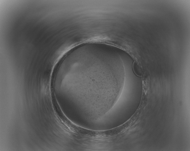 X0000060570196200511071028