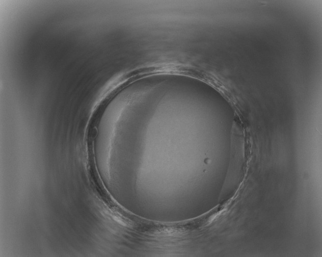 X0000060570198200511071028