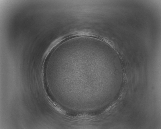 X0000060570199200511071028