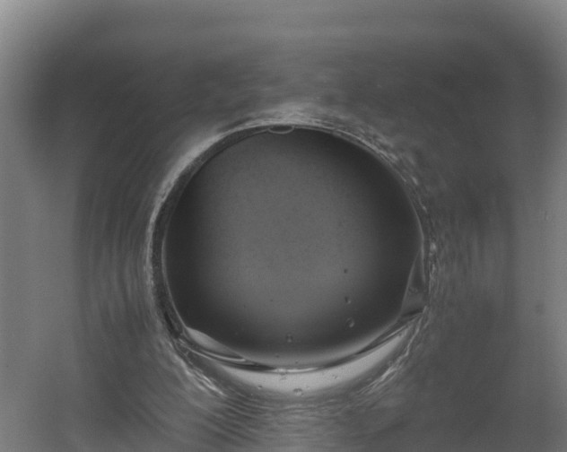 X0000060570200200511071028