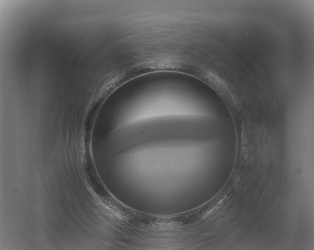 X0000060570202200511071028