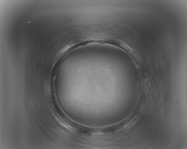 X0000060570203200511071028