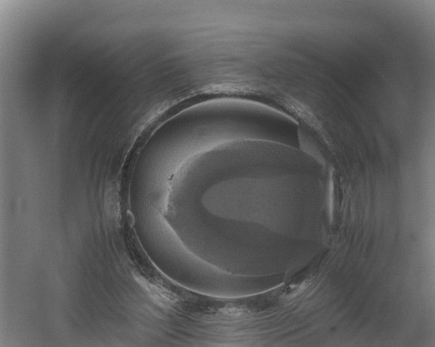 X0000060570204200511071028