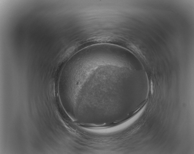 X0000060570205200511071028