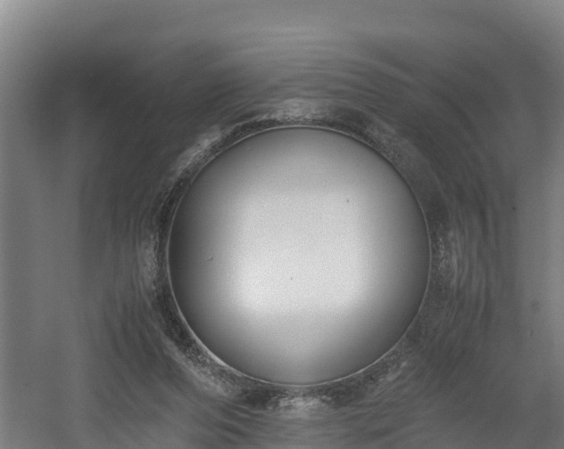 X0000060570208200511071028