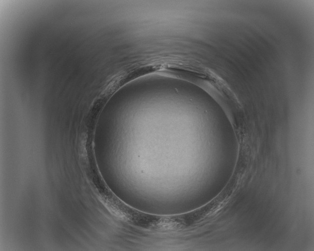 X0000060570209200511071028