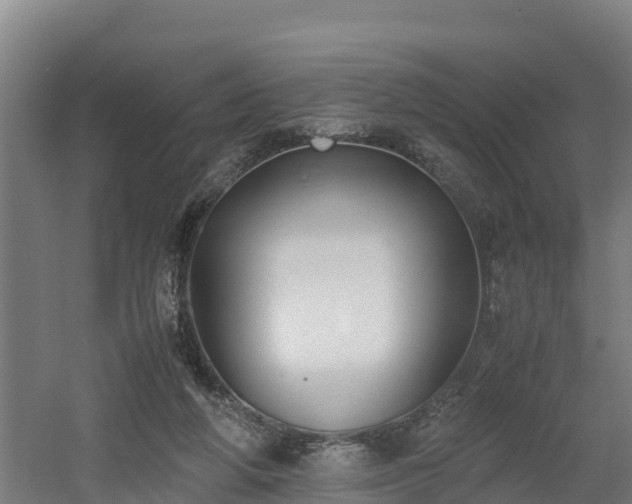 X0000060570210200511071028