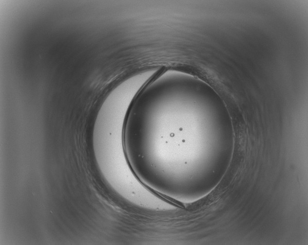 X0000060570211200511071028